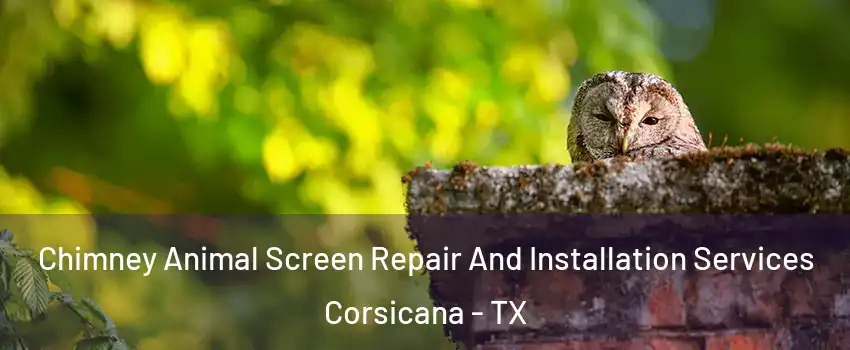  Chimney Animal Screen Repair And Installation Services Corsicana - TX