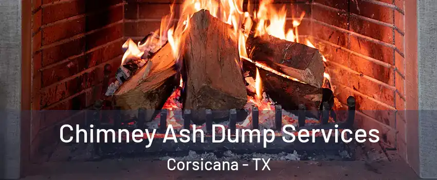  Chimney Ash Dump Services Corsicana - TX
