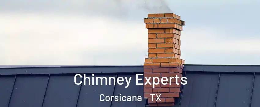  Chimney Experts Corsicana - TX