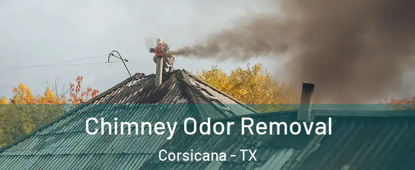  Chimney Odor Removal Corsicana - TX