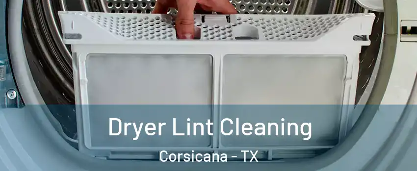  Dryer Lint Cleaning Corsicana - TX
