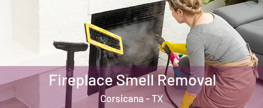  Fireplace Smell Removal Corsicana - TX