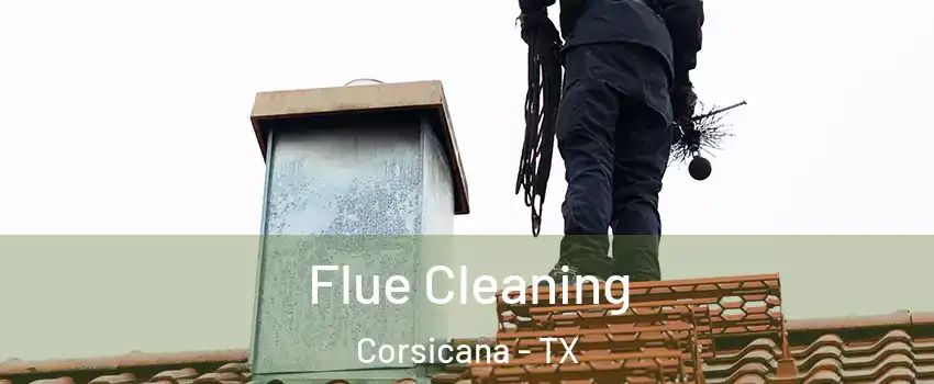  Flue Cleaning Corsicana - TX