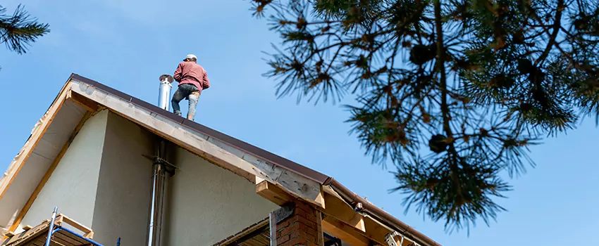 Birds Removal Contractors from Chimney in Corsicana, TX