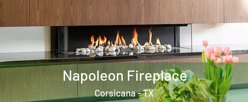  Napoleon Fireplace Corsicana - TX