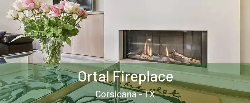  Ortal Fireplace Corsicana - TX